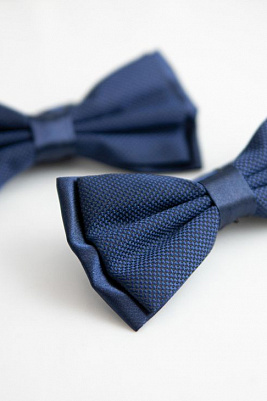 Бабочка синяя арт. 450